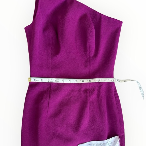 NWT Dress The Population Tiffany Dress in Dark Magenta Sz XS - Picture 12 of 14